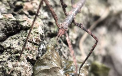 Živi kutić u učionici biologije