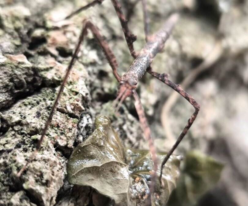 Živi kutić u učionici biologije