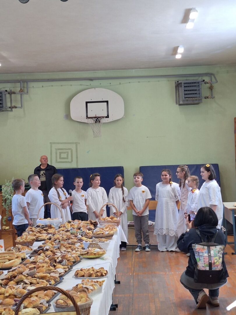 IMG-77f760dd3e14e7ed73e15ac5300cdc7b-V