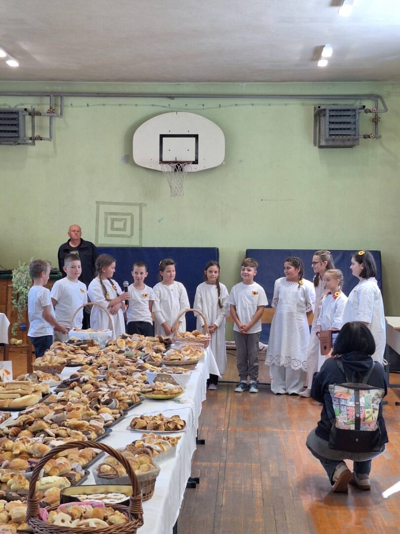 IMG-823ee5f1733c685f46effe5ce84ed537-V